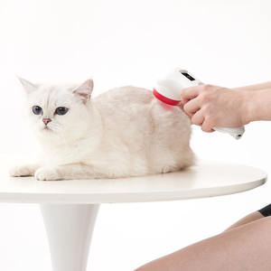 Peralatan <span class=keywords><strong>Laser</strong></span> genggam tingkat cahaya rendah, instrumen terapi <span class=keywords><strong>Laser</strong></span> 808nm 650nm untuk fisioterapi penyembuhan luka hewan peliharaan - Product Image 5