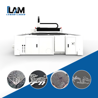 Machine de découpe laser à fibre Raycus multifonctionnelle et personnalisable pour acier inoxydable et fer, grand format