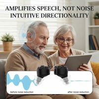 Mini-aides auditives CIC rechargeables intra-auriculaires à réduction de bruit pour seniors souffrant de perte auditive, OEM ODM, voix claire