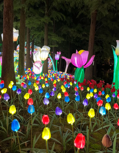 ไฟประดับ LED กันน้ำ IP65 รูปทรงดอกไม้สุดเก๋ สำหรับตกแต่งสวนกลางแจ้ง ลานกิจกรรม และเส้นทางท่องเที่ยวยามค่ำคืน - Product Image 1