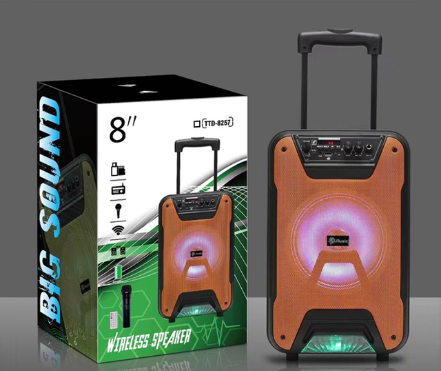 Wireless Trolley Speaker With Microphone, Rechargeable System Speaker for Parties, Karaoke DJ Speaker With Led Lights