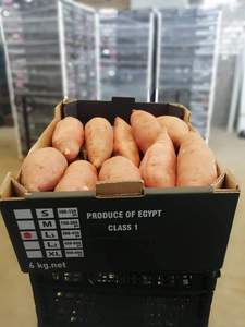 Meilleure vente de patates douces fraîches, légumes, patates douces, pommes de terre fraîches - Product Image 2