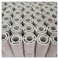 6205 PEEK Races Retainer 9 billes ZrO2 25x52x15mm HXHV roulement à billes en plastique
