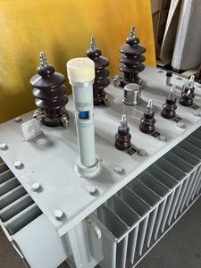 S13-M-125/10 Ölgekühlte Transformatoren aus Kupfer - Product Image 5