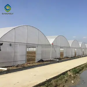 Película de cúpula multispan gótica china para invernadero hidropónico, invernadero de construcción, agricultura