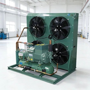 Unidad de Condensación de Baja Temperatura de 10HP, Unidad de Refrigeración Enfriada por Aire para Cámaras Frigoríficas y Congeladores -25°C ° C - Product Image 1