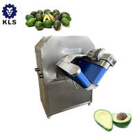 Kls Snelbevroren Avocado Blok Machine Voor De Productie En Verwerking Van Avocadojam Productielijn-Fruit & Groente Machines