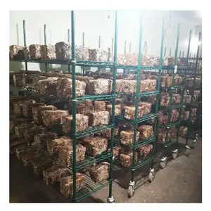 رفوف زراعة الفطر الخضراء من الإيبوكسي المعتمدة من NSF الأكثر مبيعًا - Product Image 1