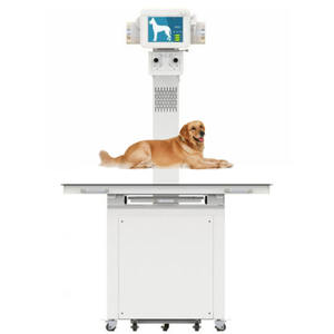 20KW 320mA destek RIS/PACS/DICOM yazıcı bağlantısı düz düzlem dedektörü ile tıbbi <span class=keywords><strong>x</strong></span>-<span class=keywords><strong>ray</strong></span> DR makinesi - Product Image 6