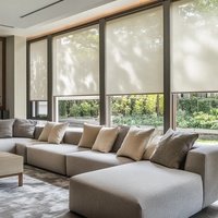 Persiana Enrollable Horizontal Transparente de PVC Personalizada, con Filtro de Luz, Impermeable, para Exteriores, Patio, Terraza y Ventana