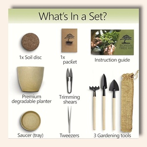 Kit de démarrage d'arbre bonsaï d'intérieur avec outils <span class=keywords><strong>cadeau</strong></span> de <span class=keywords><strong>jardinage</strong></span> domestique en fibre pour femmes et hommes - Product Image 6