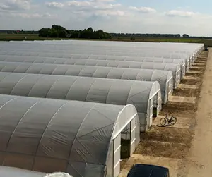 Greenhouse personalizado de uma parada de politúnel, tomada de fábrica única-span de agricultura