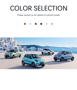 2025 Zero Run T03 Mini Coche Eléctrico EV Edición Confort 310 Vehículo de Nueva Energía de Alta Velocidad Batería de 55kW 31.9kWh 4 Asientos Izquierdos - Product Image 6