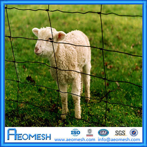 Anping nhà máy hot-nhúng mạ kẽm sắt gà Pig chuồng dây lưới gia cầm gia súc hàng rào - Product Image 6