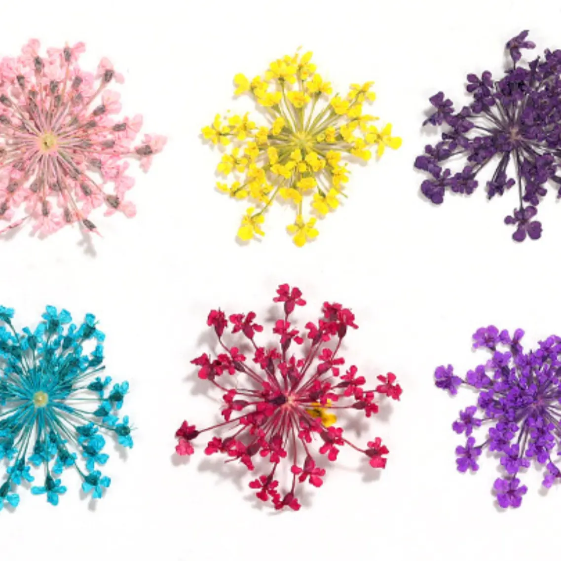 Смешанные сушеные цветы украшения для ногтей украшения натуральные Цветочные наклейки в виде листьев 3d дизайн ногтей лак сухой цветок для ногтей