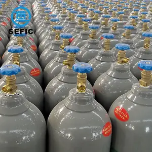 Tped认证的澳大利亚市场高压50L 200巴10M3工业氩气瓶