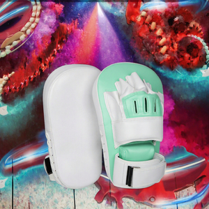 เป้าซ้อมมวยหลากสี แผ่นรองมือและเท้า สำหรับฝึกซ้อมซานด้า มวยไทย เทควันโด - Product Image 3