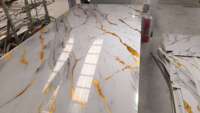 Panneau mural en PVC à motif marbré, imperméable et ignifuge, pour la décoration intérieure des hôtels et des maisons