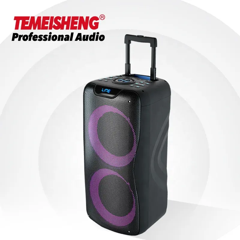 Loa Không Dây Âm Thanh Chuyên Nghiệp 100W Loa Xe Đẩy Karaoke Di Động Loa Siêu Trầm 8 Inch Loa Hộp Tiệc Đầu Vào SD