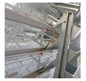 Hot-selling hen chicken coop fully automatic galvanized chicken cage