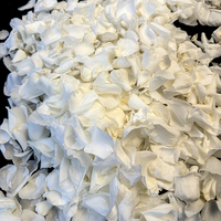 pétales de rose en vrac pour toujours éternel préservé pétales de fleur de rose naturelle préservée pétales de rose blanche f