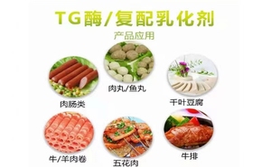 Enzyme transglutaminase TG de qualité alimentaire, fournie par l'usine YD-TG - Product Image 5