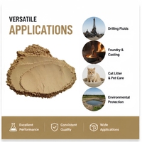 Bentonite de sodium industrielle de haute qualité jaune/blanche en poudre, à haute expansion, bentonite activée pour boues de forage, fonderie et litière pour chats