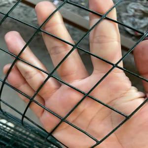 Pvc 용접 철 와이어 메쉬 게 함정 만들기를위한 플라스틱 코팅 울타리 Pvc 색상 용접 와이어 메쉬 - Product Image 6