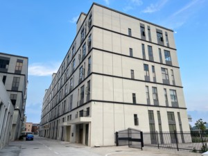 Nhãn hiệu riêng thuần chay không có Sulphate du lịch Kích thước làm rõ dầu gội làm sạch bảo vệ màu sắc chăm sóc tóc Sulfate paraben silicon miễn phí - Product Image 6