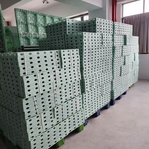 SONGMAO خفيفة الوزن ABS PP جدار عمود العارضة سقف عمود قالب قوالب بلاستيكية للأساس منزل الخ بناء - Product Image 3