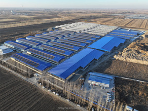 Estructuras de Acero en Venta para Granjas de Diferentes Tamaños - Product Image 6