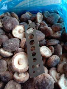 Sinocharm Hoang Dã Tươi Dinh Dưỡng <span class=keywords><strong>IQF</strong></span> Đông Lạnh Nấm Đông Lạnh <span class=keywords><strong>Shiitake</strong></span> Ở Trung Quốc - Product Image 4