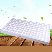 DD1679 Plateau de germination hydroponique blanc à 136 cellules pour semis, herbes et plantes, en mousse, pour pépinière