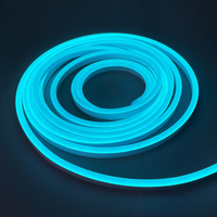 Fabricant de matériaux au néon Repsn Sign Gen1.0 LED intégrée Neon Flex Ice Blue Silicone Neon Tubes 6*12mm