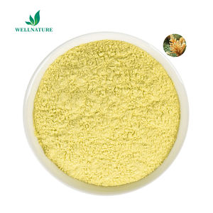 Hot Sale Pine Pollen Extract Poeder 20:1 Natuurlijke Nutritionele 100% Pure Pine Pollen Poeder Supplement Oem Odm - Product Image 3