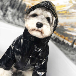Invierno cálido mascota perro abajo chaqueta de marca de lujo cachorro chaqueta bulldog francés diseñador ropa para perros Venta al por mayor dropshipping - Product Image 3