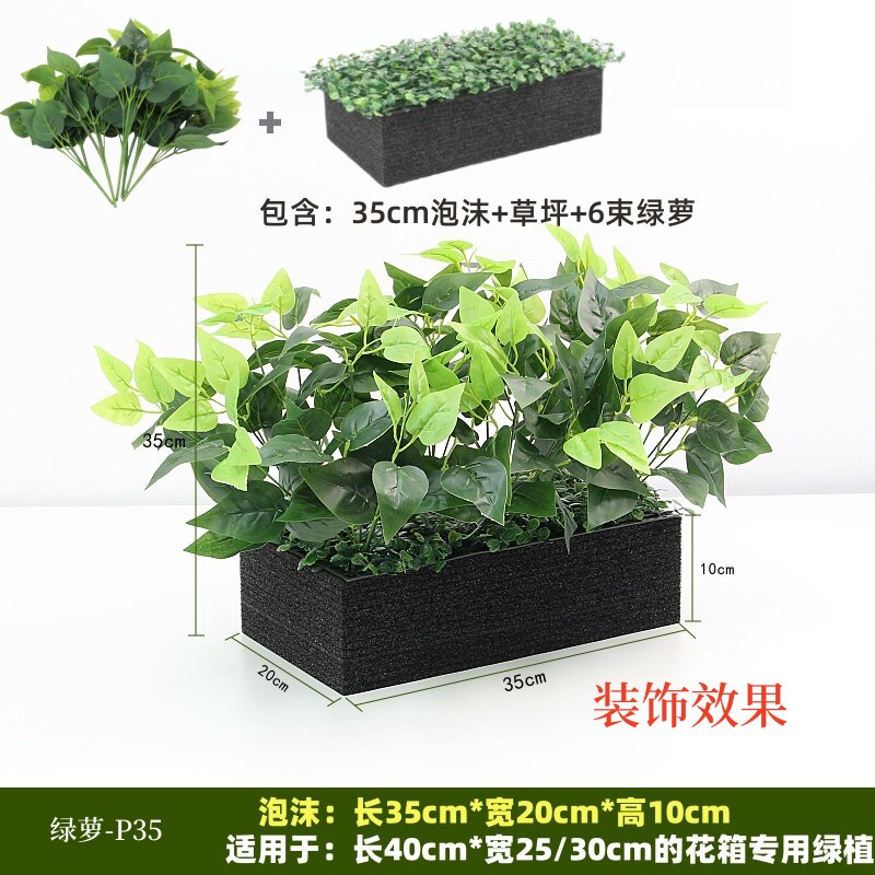 P35 lierre vert - convient aux jardinières de 40 cm