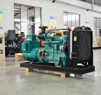 Générateur diesel Ricardo 30KW 60KW 80KW 100KW à châssis ouvert, refroidi par eau, triphasé, dynamo automatique en cuivre pur, à vendre