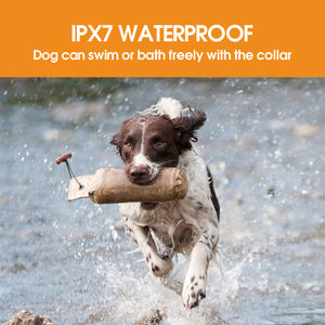 Precio barato remoto entrenador Collar Color rojo perro Collar de entrenamiento T150 rojo - Product Image 4