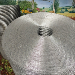 カスタマイズされた溶融亜鉛メッキ溶接ワイヤーメッシュ亀裂防止動物ケージ鉄ワイヤーフェンスメッシュ - Product Image 5