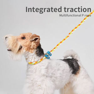 UFBemo, suministros para mascotas, rediseño de fábrica, superventas, Correa deslizante para perros para entrenamiento, cuerda redonda, Collar de entrenamiento para perros, correa para mascotas - Product Image 3