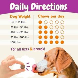 Probióticos para Perros con Prebióticos, Marca Privada OEM ODM, Promueve un Microbioma Intestinal Equilibrado, Refuerza la Salud Inmunológica, Masticables Blandos - Product Image 6