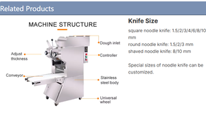 Nueva máquina comercial automática para hacer fideos con motor para restaurantes, máquinas de fideos de espagueti y ramen, JUYOU - Product Image 4