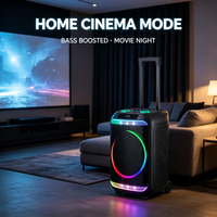 GENCE Enceinte active sur chariot professionnelle 12 pouces avec égaliseur DSP, USB, micro sans fil, batterie et éclairage RGB pour l'éducation scolaire
