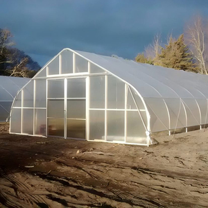 Invernadero Agrícola de Gran Tamaño de un Solo Tramo, Fácil de Instalar, con Tubos de Acero Galvanizado en Caliente y Lámina de Plástico Impermeable para Cultivo - Product Image 1