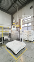 Robot de palettisation robuste à 4 axes de type colonne pour sacs tissés en PP, avec pince à fourches pour sacs en polypropylène