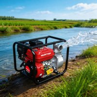 Professionelle NTWP20 2 Zoll 7,0 PS 170F Motor 30m Förderhöhe 30m³/h Durchfluss Landwirtschaftliche Benzin-Wasserpumpe