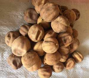 ISO22000มะนาวเหลืองอบแห้ง FD ได้รับการรับรองวัตถุดิบภายใต้การดูแลอย่างเข้มงวดจากฟาร์ม El ekhlas ในอียิปต์ - Product Image 5