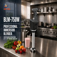 Mixeur plongeant multifonctionnel 4 en 1 de grande capacité, 750 W, commercial