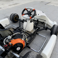 Go Karts Profesionales de 7ª Generación con Motor de Gasolina de 4 Tiempos, Personalizados OEM, Frenos de Disco Hidráulicos para Exteriores, Transmisión por Engranajes, Capacidad de Carga de 200 kg